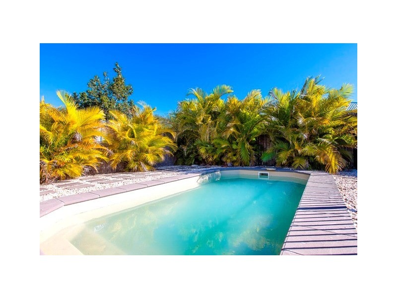 17 Nebo Street, Caloundra West QLD 4551