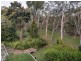 4 Bray Street, Dicky Beach QLD 4551