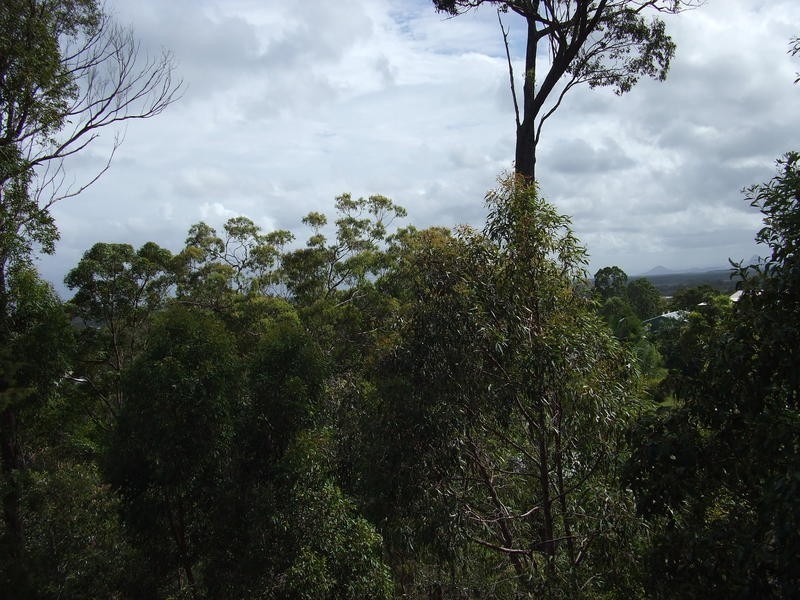 Little Mountain QLD 4551