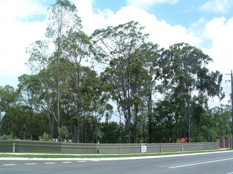 2 Wattlefield Road, Little Mountain QLD 4551