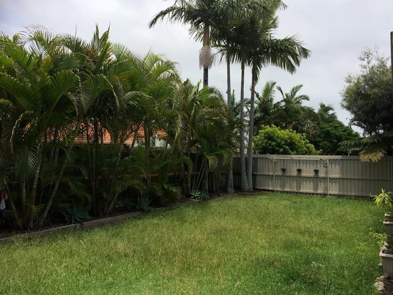 11 Avondale Place, Little Mountain QLD 4551