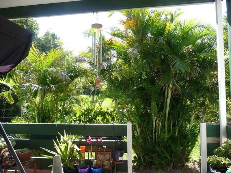 Unit 131 ‘Palm Village’ 63 Caloundra Road, Little Mountain QLD 4551