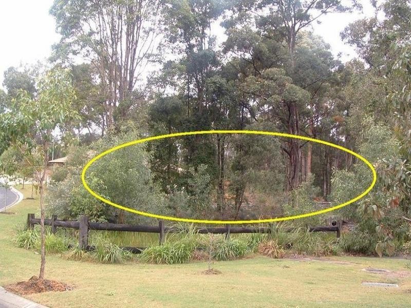 3 Wattlefield Road, Little Mountain QLD 4551