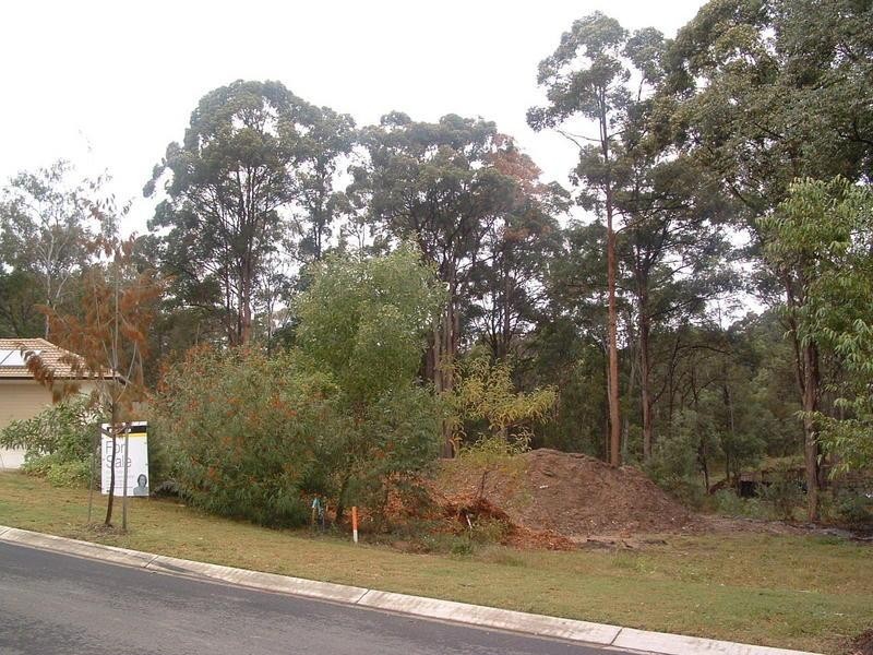 3 Wattlefield Road, Little Mountain QLD 4551