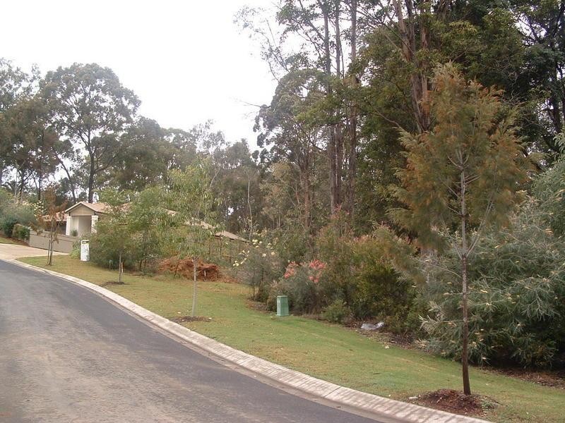 3 Wattlefield Road, Little Mountain QLD 4551