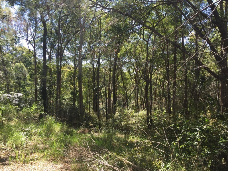 20 Whitecross Road, Bli Bli QLD 4560