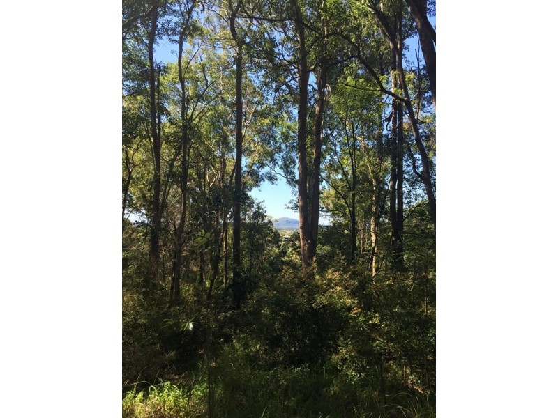 20 Whitecross Road, Bli Bli QLD 4560