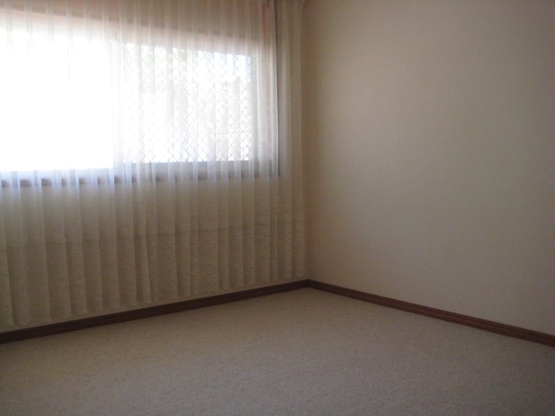 37 Iluka Avenue, Buddina QLD 4575