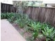 Unit 2, 19 Ngungun Street, Dicky Beach QLD 4551