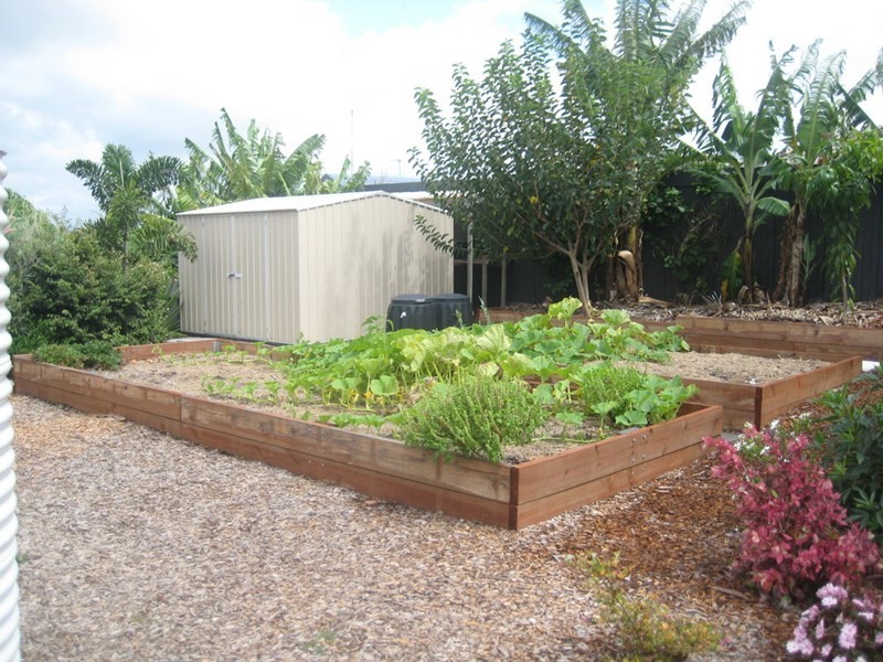 8 Minnow Court, Currimundi QLD 4551