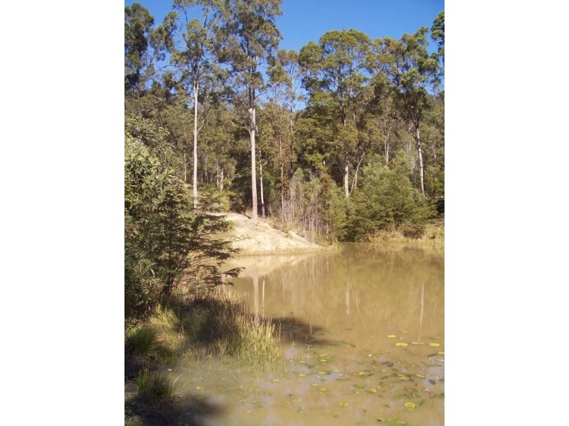 378 Tunnel Ridge Road, Mooloolah Valley QLD 4553