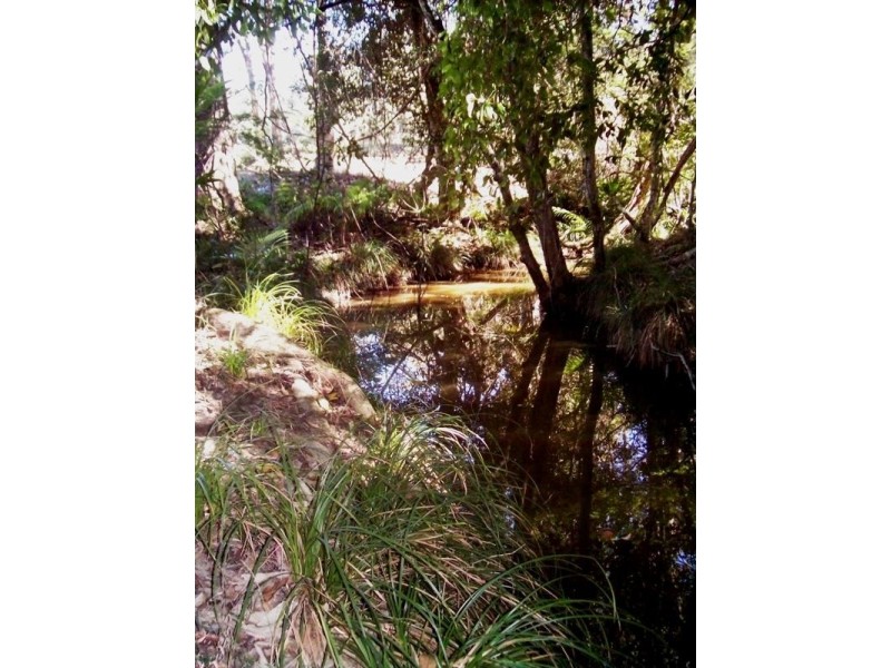 378 Tunnel Ridge Road, Mooloolah Valley QLD 4553