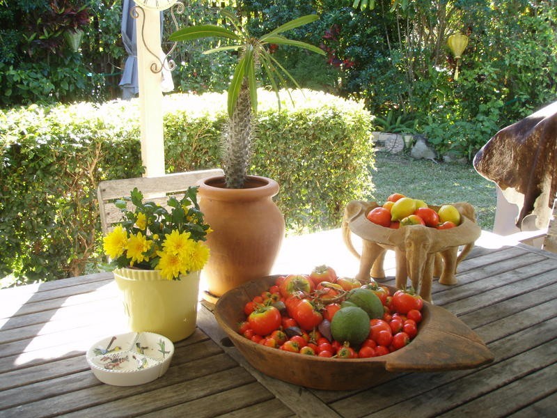 2 Market Place, Shelly Beach QLD 4551