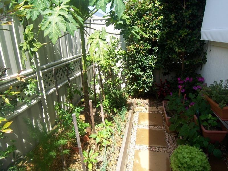 88 Halcyon Park, Caloundra QLD 4551