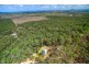 469 Old Caloundra Road, Glenview QLD 4553