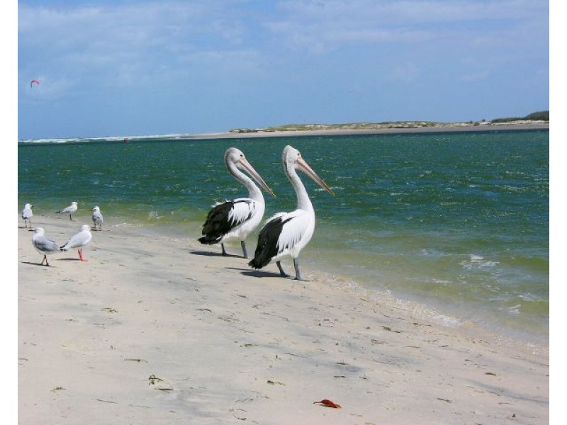 104 Esplanade, Golden Beach QLD 4551