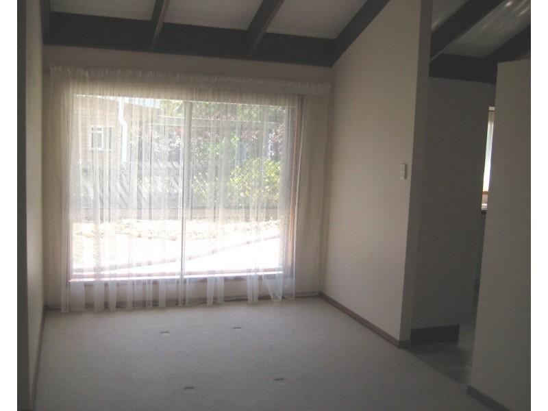 37 Iluka Avenue, Buddina QLD 4575