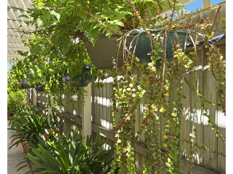 11 Durundur Street, Pelican Waters QLD 4551