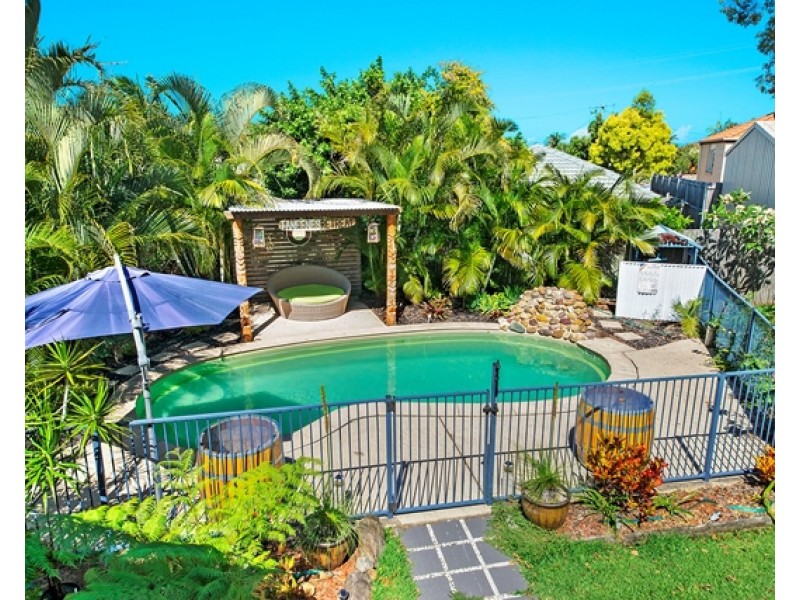 19 Albatross Avenue, Caloundra QLD 4551