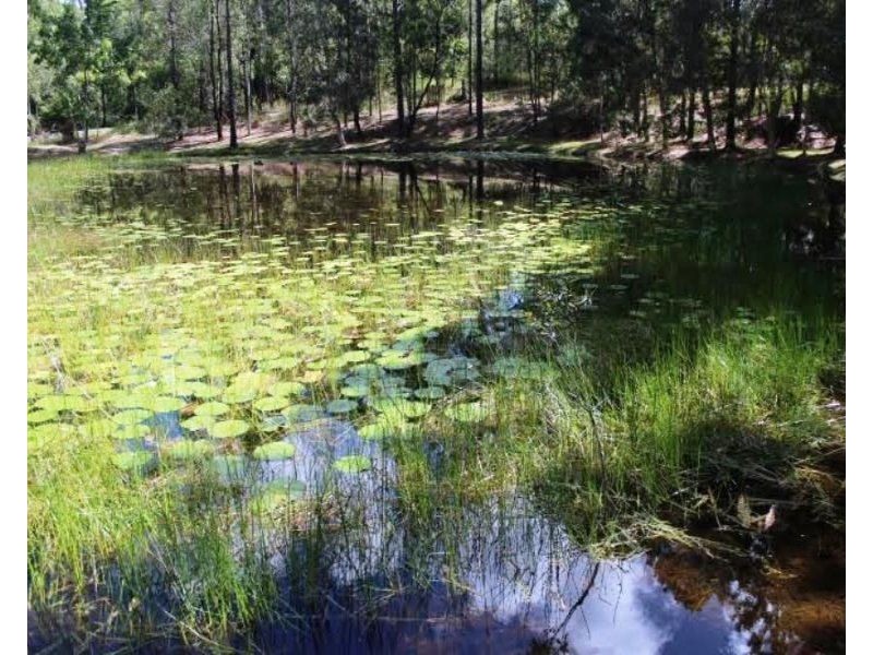 32 Whites Road, Landsborough QLD 4550