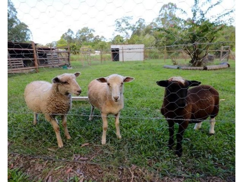 32 Whites Road, Landsborough QLD 4550