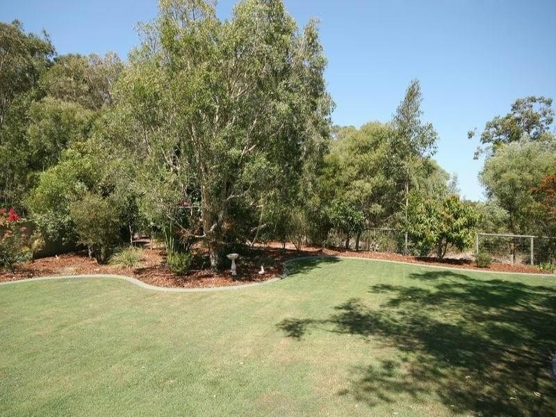11 Phar Lap Court, Little Mountain QLD 4551