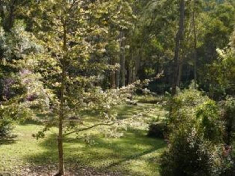 104 Commissioners Flat Road, Peachester QLD 4519