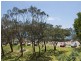 Unit 5 Barren Joey, 17 Landsborough Parade, Golden Beach QLD 4551