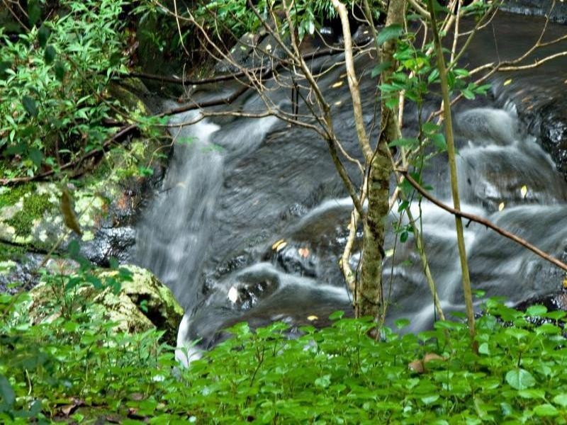 61 Kondalilla Falls Road, Flaxton QLD 4560