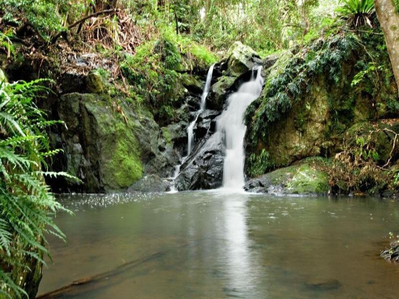 61 Kondalilla Falls Road, Flaxton QLD 4560