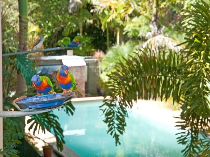 64 Harold Place, Peachester QLD 4519