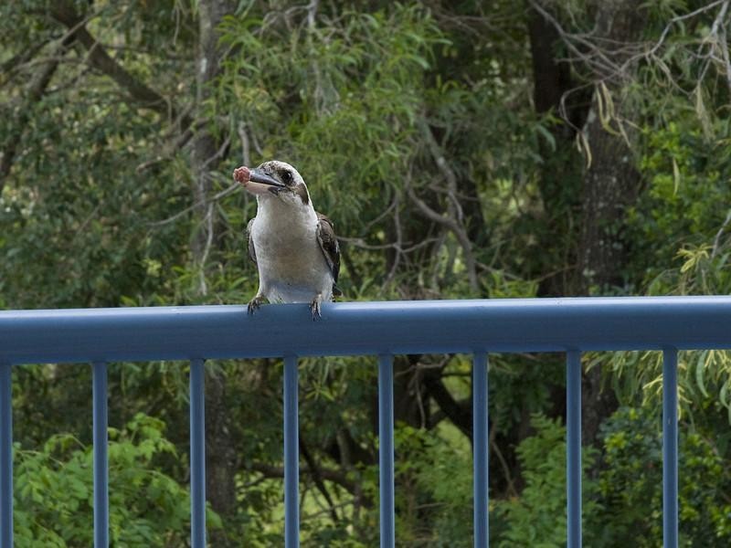 Unit 15 ‘Parkside Gardens’ 28 Pelican Waters Boulevard, Pelican Waters QLD 4551