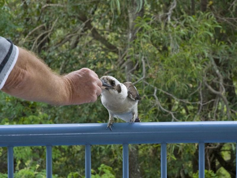 Unit 15 ‘Parkside Gardens’ 28 Pelican Waters Boulevard, Pelican Waters QLD 4551