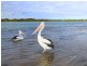 30 Maroochy Waters Drive, Maroochydore QLD 4558