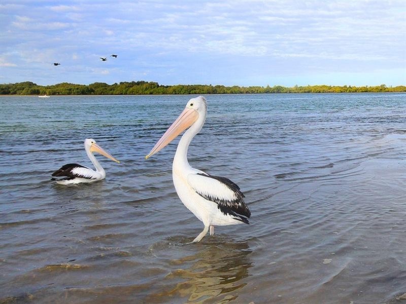 30 Maroochy Waters Drive, Maroochydore QLD 4558