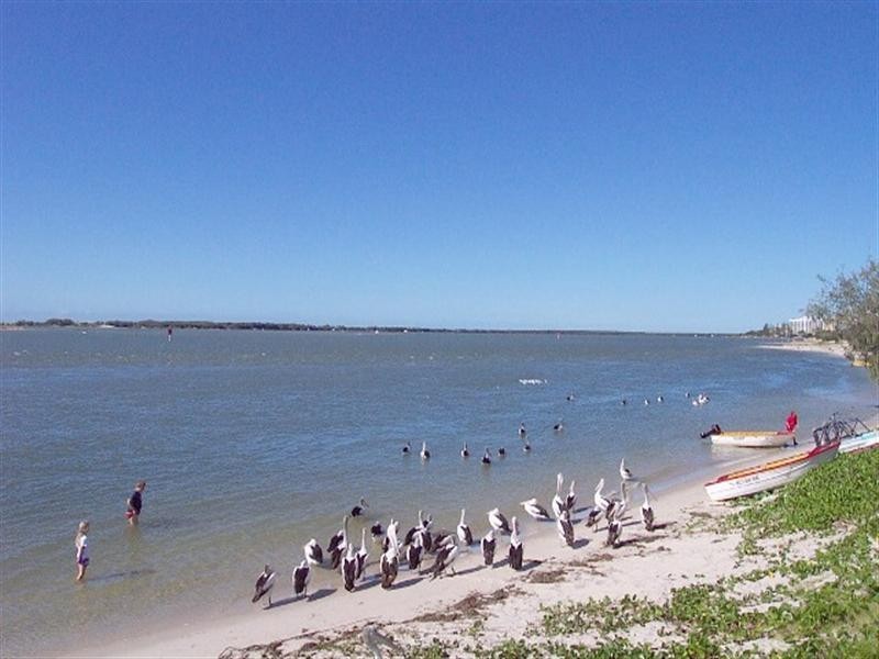 23 and 29 The Promenade, Pelican Waters QLD 4551