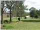 31 Jordan Street, Meridan Plains QLD 4551