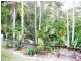 2 Rainforest Court, Boreen Point QLD 4565