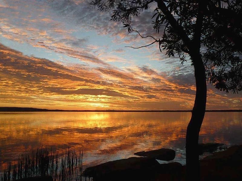 2 Rainforest Court, Boreen Point QLD 4565