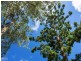 2 Rainforest Court, Boreen Point QLD 4565