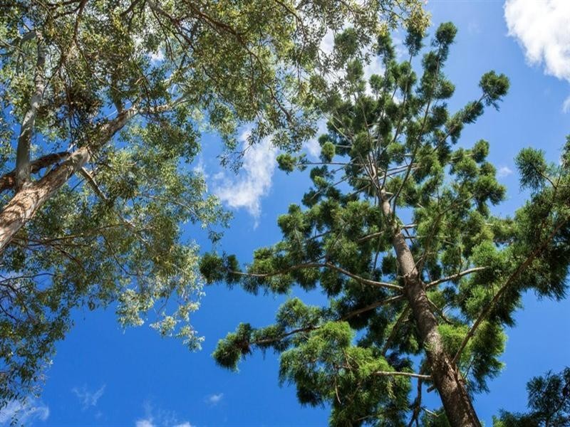 2 Rainforest Court, Boreen Point QLD 4565