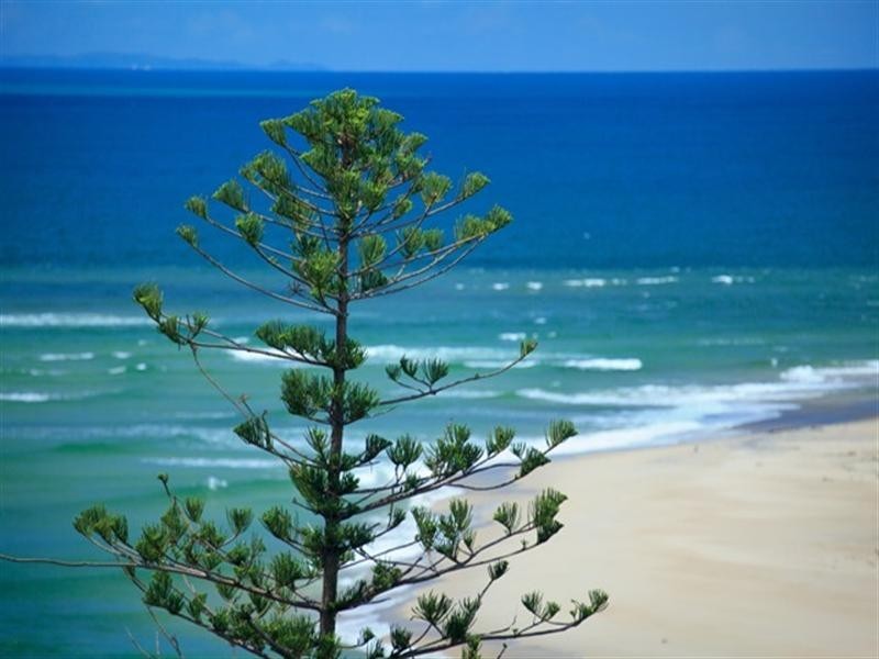 Unit 907 ‘Monaco’ 12 Otranto Avenue, Caloundra QLD 4551