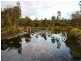 6 Argus Court, Beerwah QLD 4519