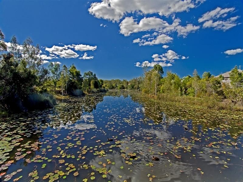 6 Attenuatta Place, Noosaville QLD 4566