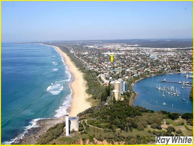 19 Pannaroo Street, Buddina QLD 4575