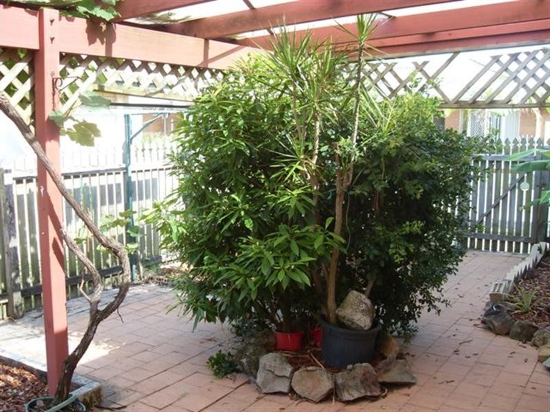 Unit 18 ‘Park Haven’ 1 Peregrine Drive, Wurtulla QLD 4575