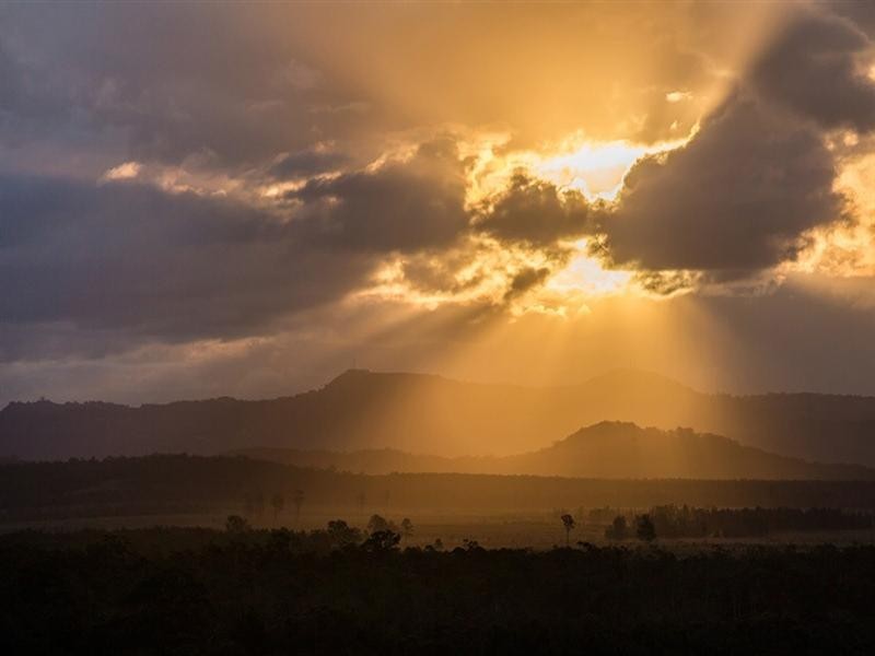 Unit 1104 ‘Pelican Waters Resort’ 38 Mahogany Drive, Pelican Waters QLD 4551