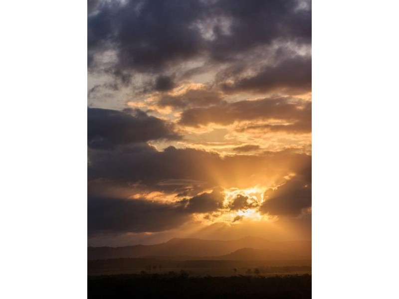 Unit 1104 ‘Pelican Waters Resort’ 38 Mahogany Drive, Pelican Waters QLD 4551