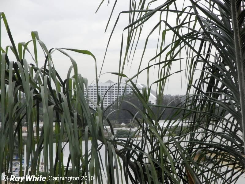 11/11 King George Street, Victoria Park WA 6100