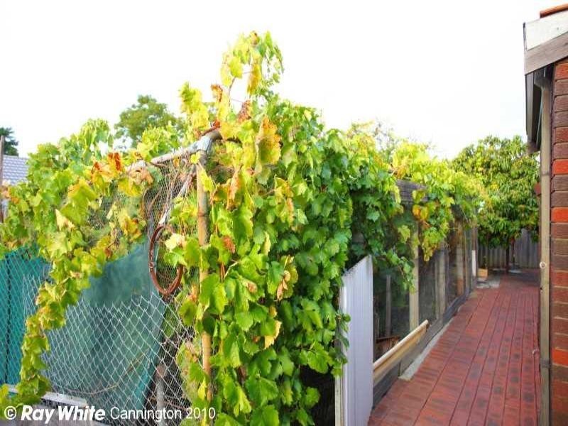 64 Cross Street, Queens Park WA 6107